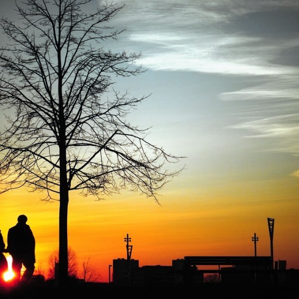 In Search Of Love, Targets Of On-line Relationship